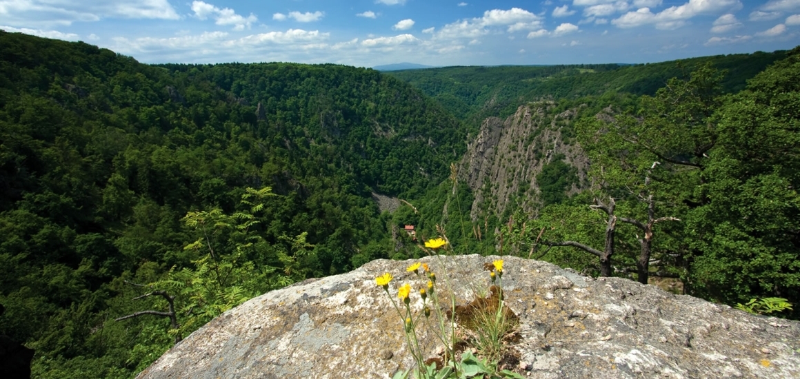 Blick auf das Bodetal im Harz mit bewaldeten Hügeln und Felsen im Vordergrund.