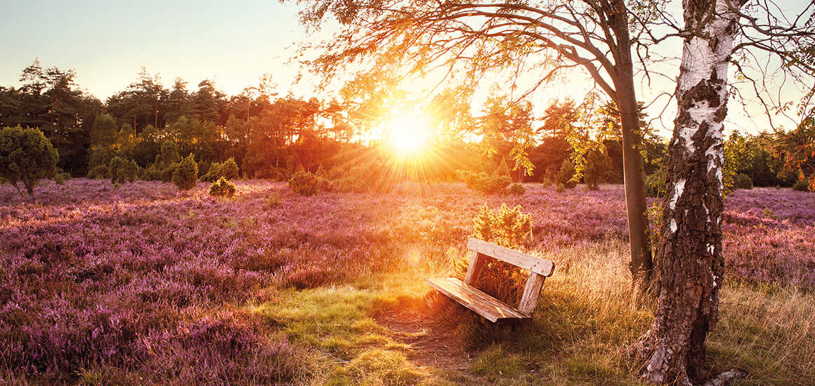 Bild zur Reise: Zusammen ist besser als allein