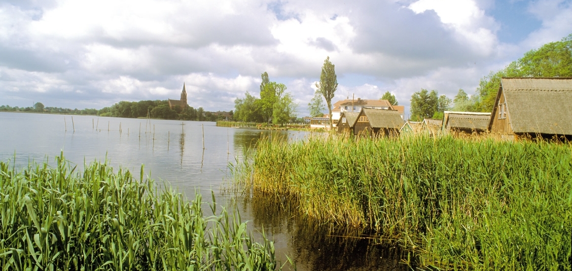 Landschaftsbild des Müritzsees mit Schilf im Vordergrund, mehreren Gebäuden am Ufer und einer Kirche im Hintergrund unter bewölktem Himmel.