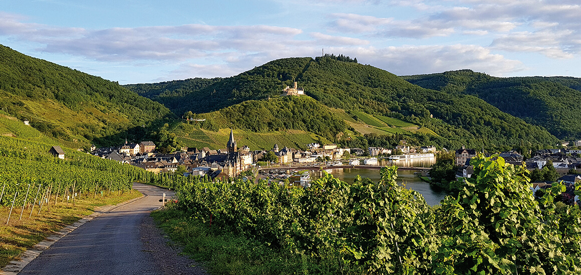 Blick auf einen Weinberg an der Mosel in Bernkastel-Kues mit Fluss, Stadt und Hügeln im Hintergrund.