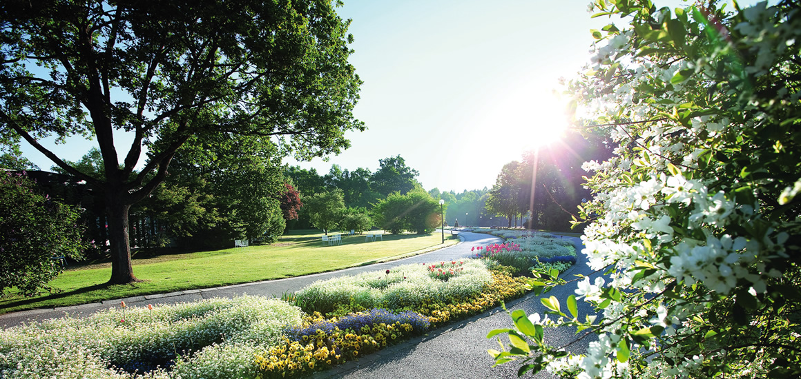 Ein sonniger Kurpark in Bad Füssing mit gepflegten Blumenbeeten und Bäumen.