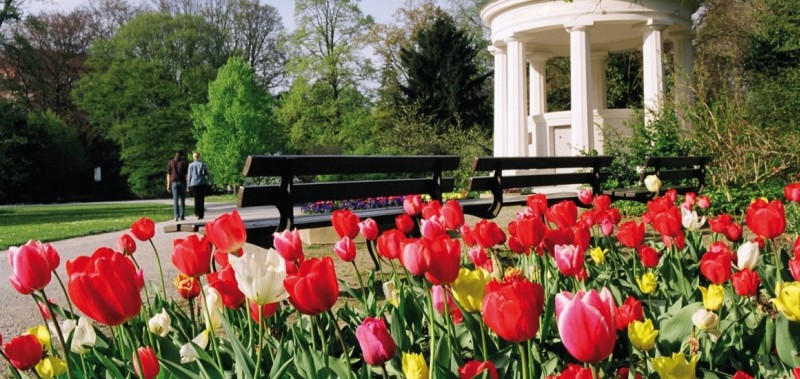 Bild zur Reise: Sole und Kneipp – Bad Salzuflen