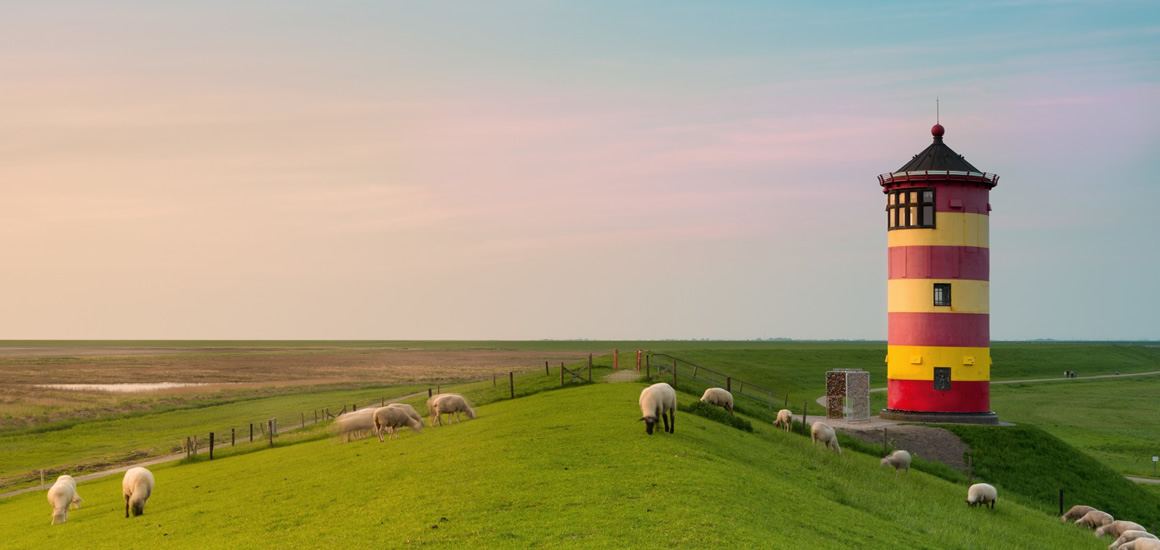 Ein Leuchtturm in Ostfriesland, umgeben von grünen Wiesen und Schafen, bei Sonnenuntergang.