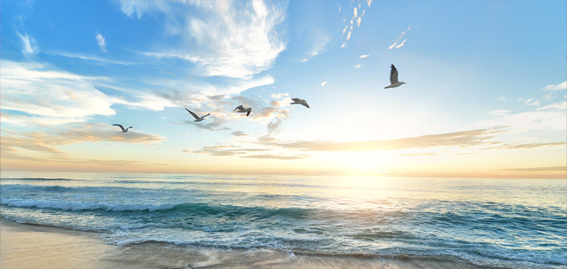 7-Tage-Reise Bild zur Reise: 7-Tage-Reise