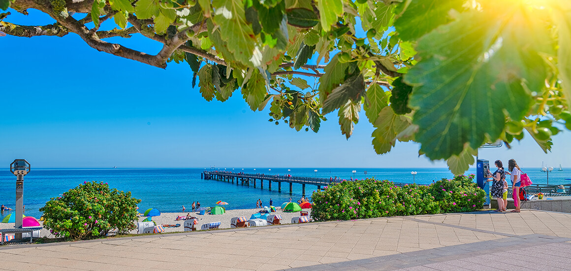 Blick auf die Seebrücke in Kühlungsborn an der Ostsee, mit Strandbesuchern und Sonnenschirmen im Vordergrund, umgeben von grünen Blättern und strahlendem Sonnenschein.