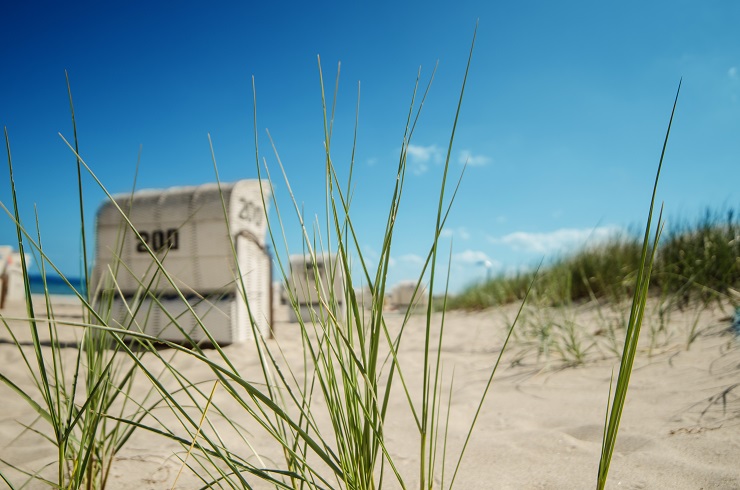 Strand mit Strandkörben und Dünengras an der Ostsee unter blauem Himmel.