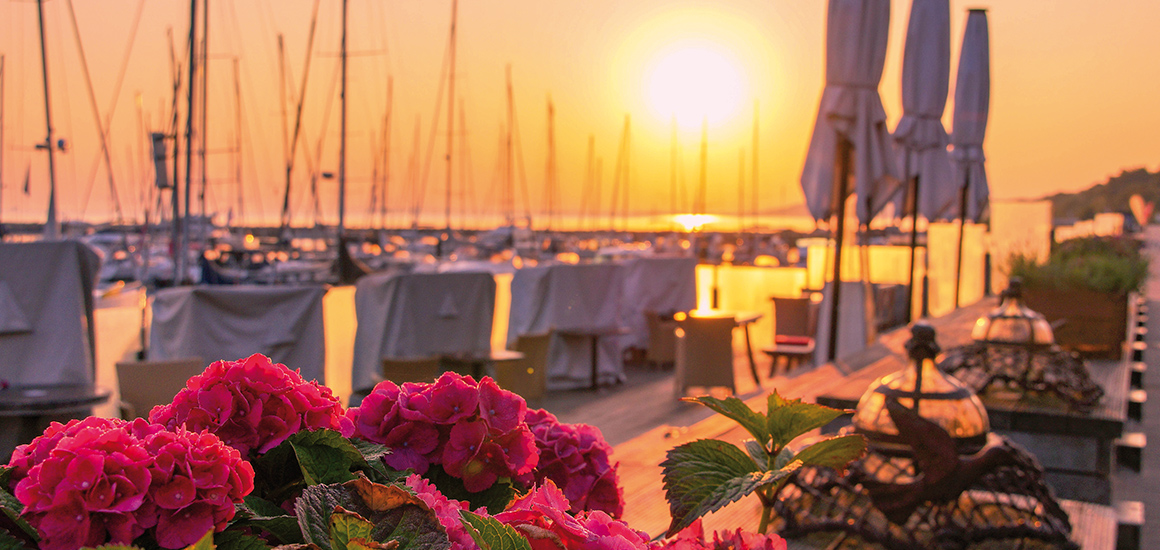 Ein Yachthafen am Abend mit Sonnenuntergang, Segelbooten und Blumen im Vordergrund.