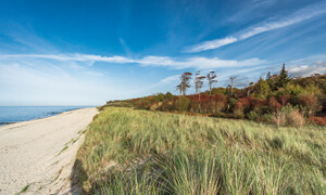 Blauer Himmel mit Seeansicht mit Strand rasen und Büschen