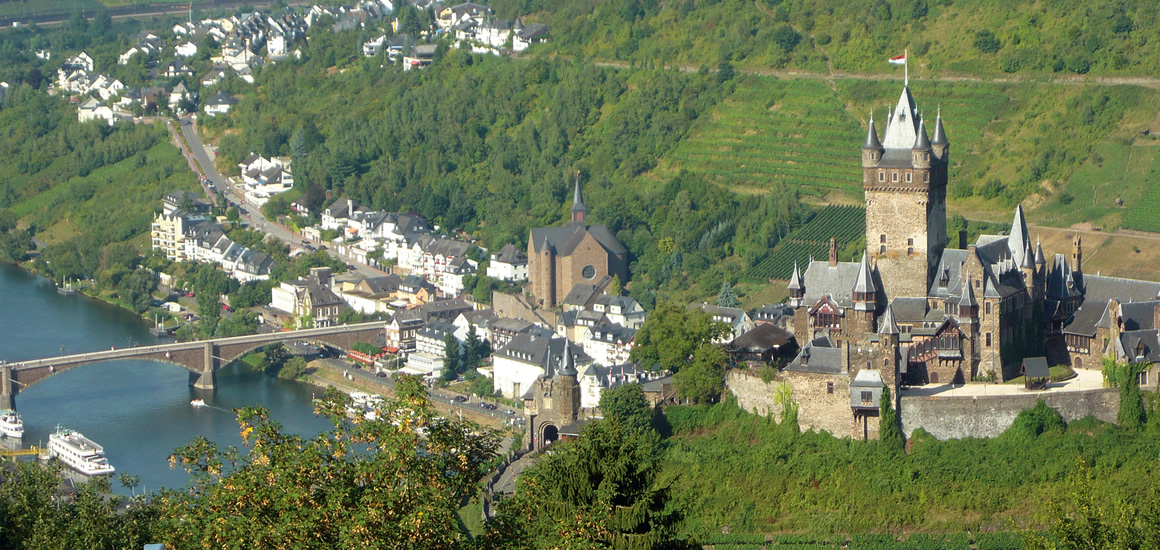 Luftaufnahme einer Burg in Rheinland-Pfalz, umgeben von einem Fluss, einer Brücke und einer Stadt.