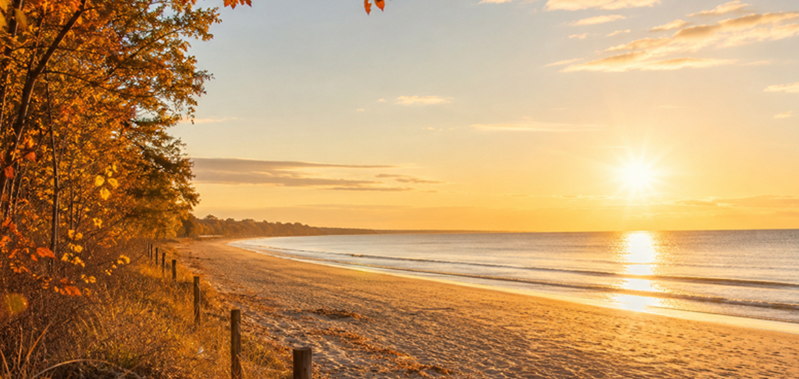 <span style="caret-color: rgb(0, 0, 0); color: rgb(0, 0, 0); font-size: medium;">Das Bild zeigt einen ruhigen Strand im warmen Licht der tief stehenden Herbstsonne, eingerahmt von goldgelben und orangefarbenen Blättern.</span><br>