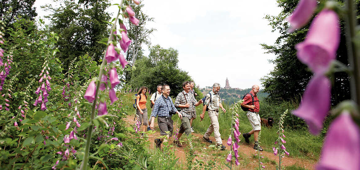Bild zur Reise: Wanderwoche durch Thüringen