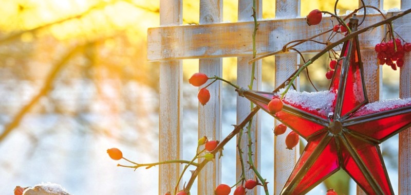 Bild zur Reise: Kühlungsborner Winterzauber