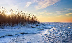 <span style="caret-color: rgb(0, 0, 0); color: rgb(0, 0, 0); font-size: medium;">Eine ruhige Winterlandschaft zeigt gefrorenes Wasser, schneebedeckte Eisflächen und golden leuchtendes Schilf im Licht eines Sonnenauf- oder -untergangs.</span><br>