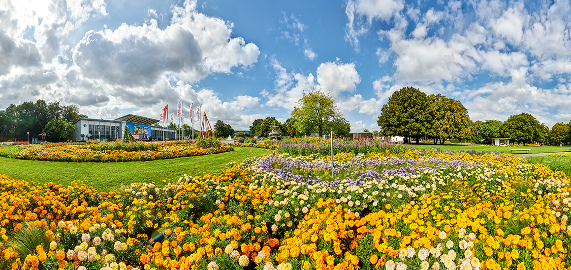 Thüringer Wald, Erfurt, Eisenach, Schwarzatal und vieles mehr warten auf Sie