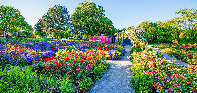 Die Blütenpracht im Egapark Erfurt Bild zur Reise: Die Blütenpracht im Egapark Erfurt
