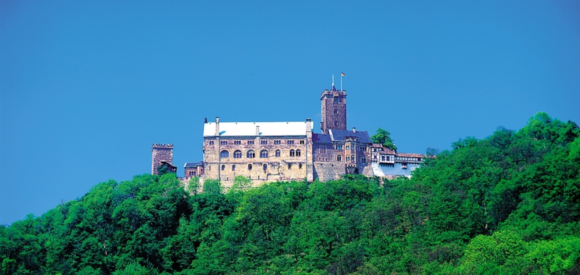 Burg auf einem bewaldeten Hügel mit blauem Himmel im Hintergrund