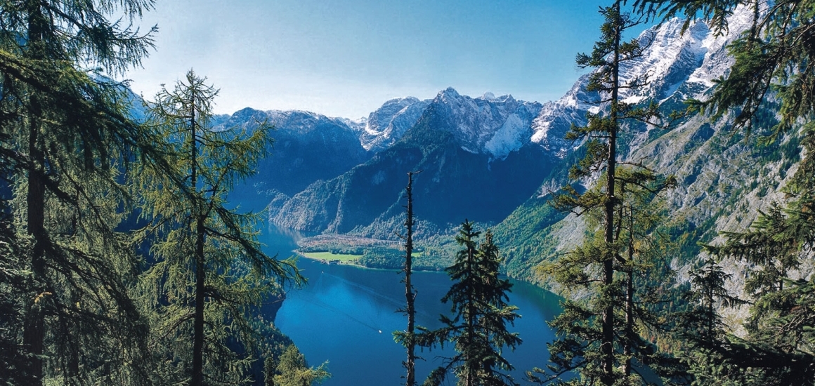 Blick auf den Königssee, umgeben von Bergen und Wäldern, unter klarem Himmel.