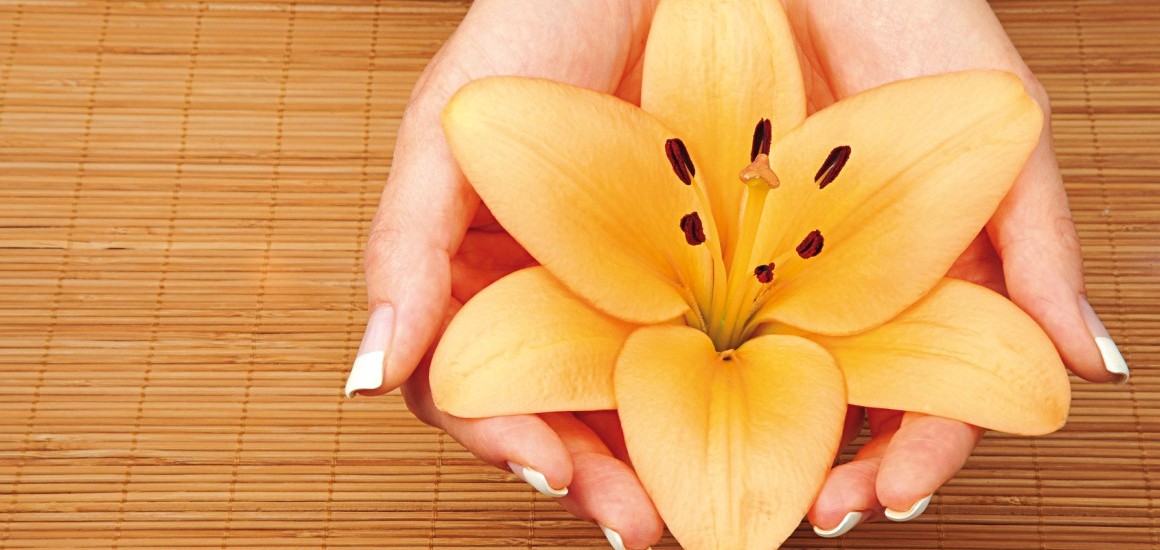 Hände halten eine orangefarbene Lilienblüte auf einer Bambusmatte.