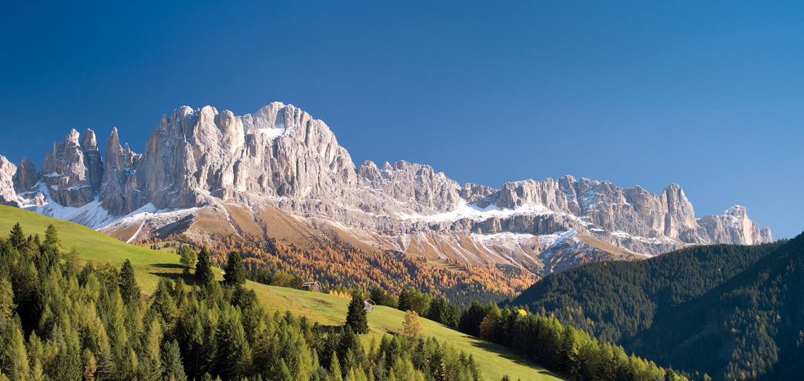 Panoramablick auf die Dolomiten mit grünen Wiesen und Wäldern im Vordergrund und schneebedeckten Bergen im Hintergrund unter klarem blauem Himmel.